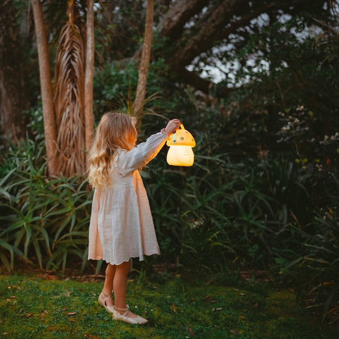 Fairy House Nightlight